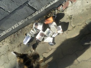 streetlitter