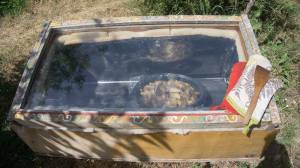 13603498_997196137066306_990902709839231939_o