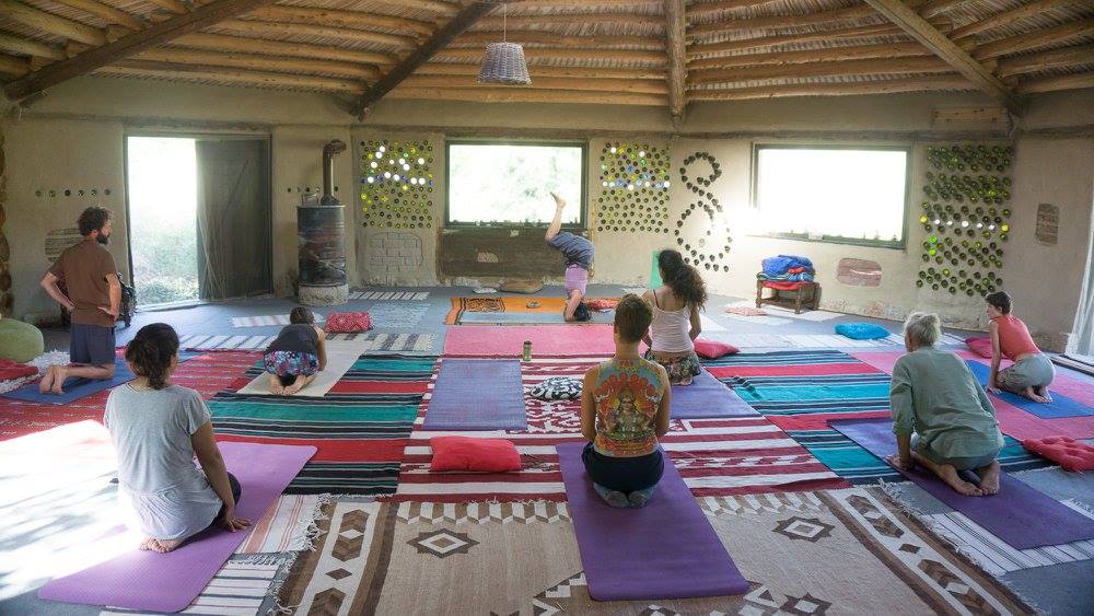 13613473_997196343732952_8342292769623637763_o